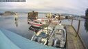 ./images/quadra/hbidock/20250123/hbidock20250123_124008M.jpg