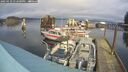 ./images/quadra/hbidock/20250123/hbidock20250123_132500M.jpg