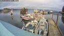 ./images/quadra/hbidock/20250123/hbidock20250123_132508M.jpg