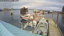 ./images/quadra/hbidock/20250123/hbidock20250123_143509M.jpg
