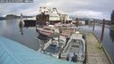 ./images/quadra/hbidock/20250123/hbidock20250123_145009M.jpg