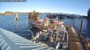 ./images/quadra/hbidock/20250124/hbidock20250124_100010M.jpg