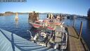 ./images/quadra/hbidock/20250124/hbidock20250124_112500M.jpg