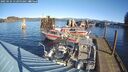 ./images/quadra/hbidock/20250124/hbidock20250124_113000M.jpg