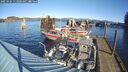 ./images/quadra/hbidock/20250124/hbidock20250124_113009M.jpg