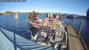 ./images/quadra/hbidock/20250124/hbidock20250124_113507M.jpg