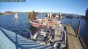 ./images/quadra/hbidock/20250124/hbidock20250124_114509M.jpg