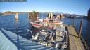 ./images/quadra/hbidock/20250124/hbidock20250124_115008M.jpg