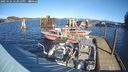 ./images/quadra/hbidock/20250124/hbidock20250124_123000M.jpg