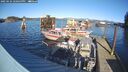 ./images/quadra/hbidock/20250124/hbidock20250124_140500M.jpg