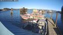 ./images/quadra/hbidock/20250124/hbidock20250124_142000M.jpg