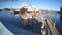 ./images/quadra/hbidock/20250124/hbidock20250124_150010M.jpg