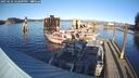 ./images/quadra/hbidock/20250124/hbidock20250124_152009M.jpg