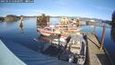 ./images/quadra/hbidock/20250125/hbidock20250125_140500M.jpg