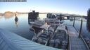 ./images/quadra/hbidock/20250126/hbidock20250126_092509M.jpg
