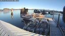 ./images/quadra/hbidock/20250126/hbidock20250126_094000M.jpg