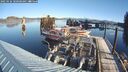 ./images/quadra/hbidock/20250126/hbidock20250126_100509M.jpg