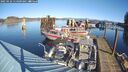 ./images/quadra/hbidock/20250126/hbidock20250126_114009M.jpg