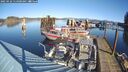 ./images/quadra/hbidock/20250126/hbidock20250126_114500M.jpg