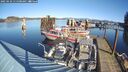 ./images/quadra/hbidock/20250126/hbidock20250126_115500M.jpg