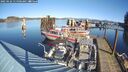 ./images/quadra/hbidock/20250126/hbidock20250126_115507M.jpg