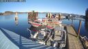 ./images/quadra/hbidock/20250126/hbidock20250126_120500M.jpg