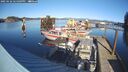 ./images/quadra/hbidock/20250126/hbidock20250126_141009M.jpg