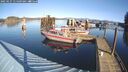 ./images/quadra/hbidock/20250127/hbidock20250127_115009M.jpg
