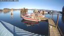 ./images/quadra/hbidock/20250127/hbidock20250127_120010M.jpg