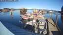 ./images/quadra/hbidock/20250127/hbidock20250127_134009M.jpg