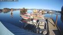 ./images/quadra/hbidock/20250127/hbidock20250127_140000M.jpg