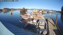 ./images/quadra/hbidock/20250127/hbidock20250127_140508M.jpg