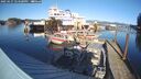 ./images/quadra/hbidock/20250127/hbidock20250127_144500M.jpg