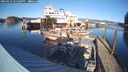 ./images/quadra/hbidock/20250127/hbidock20250127_145008M.jpg