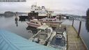 ./images/quadra/hbidock/20250129/hbidock20250129_145507M.jpg