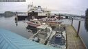 ./images/quadra/hbidock/20250129/hbidock20250129_150508M.jpg