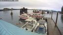 ./images/quadra/hbidock/20250131/hbidock20250131_121009M.jpg