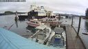 ./images/quadra/hbidock/20250131/hbidock20250131_125507M.jpg