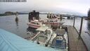 ./images/quadra/hbidock/20250131/hbidock20250131_133000M.jpg