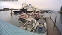 ./images/quadra/hbidock/20250131/hbidock20250131_165508M.jpg