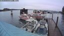./images/quadra/hbidock/20250131/hbidock20250131_172508M.jpg