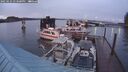./images/quadra/hbidock/20250131/hbidock20250131_173500M.jpg