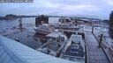 ./images/quadra/hbidock/20250201/hbidock20250201_073508M.jpg
