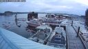 ./images/quadra/hbidock/20250201/hbidock20250201_074000M.jpg