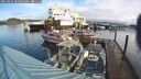 ./images/quadra/hbidock/20250201/hbidock20250201_103506M.jpg