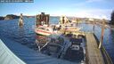 ./images/quadra/hbidock/20250201/hbidock20250201_154000M.jpg