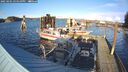 ./images/quadra/hbidock/20250201/hbidock20250201_154510M.jpg
