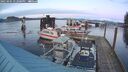 ./images/quadra/hbidock/20250201/hbidock20250201_172000M.jpg