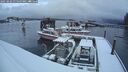 ./images/quadra/hbidock/20250202/hbidock20250202_075500M.jpg