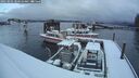 ./images/quadra/hbidock/20250202/hbidock20250202_080010M.jpg